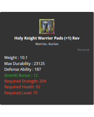 Holy Knight Warrior Pads
 +-1 Reverse